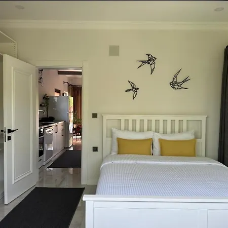 Casa Itki 別荘 オルタジャ